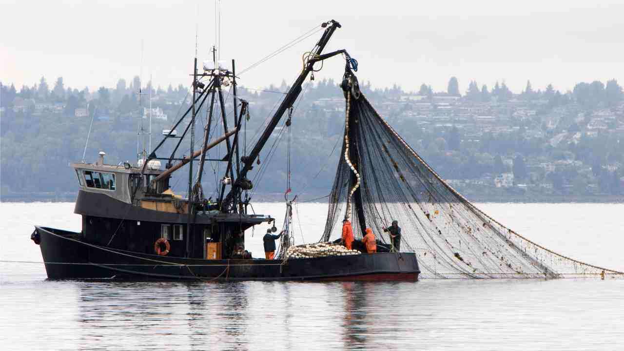 Blocco pesca, invasione di mucillagine