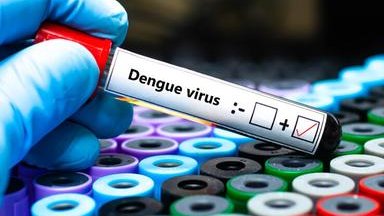 Dengue importata dall’estero, scatta la disinfestazione a Gardolo