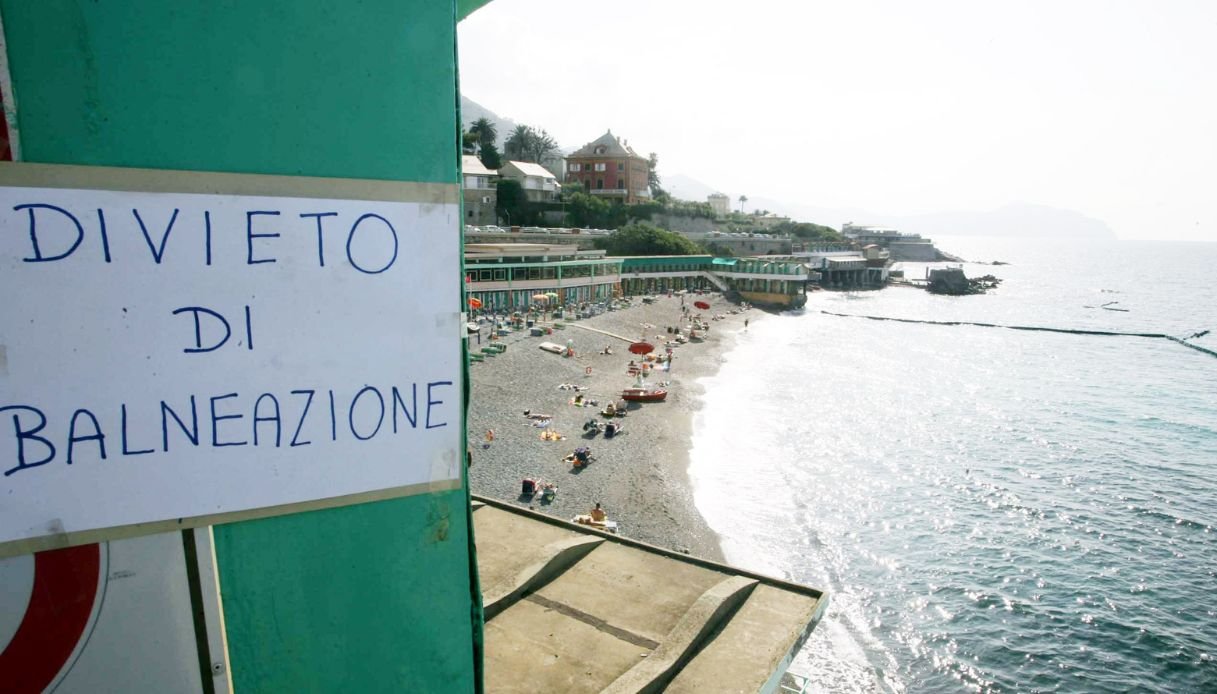 Alga tossica nei mari italiani, sintomi e zone a rischio