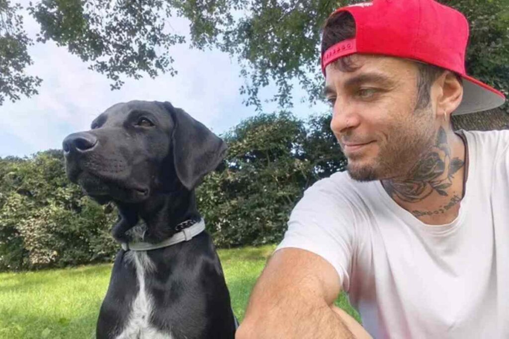Ludo, il cane che aspetta Andrea: l’appello per trovare una nuova famiglia