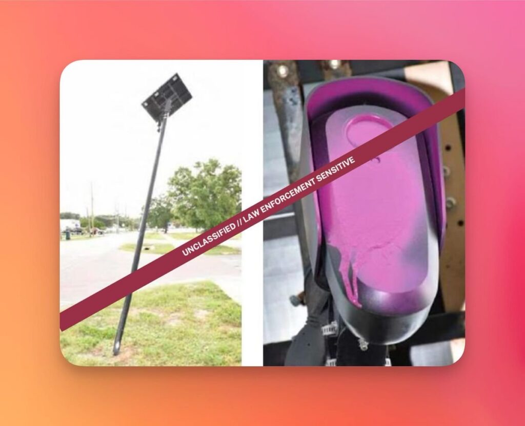 Governo monitora account TikTok e Instagram contro Flock