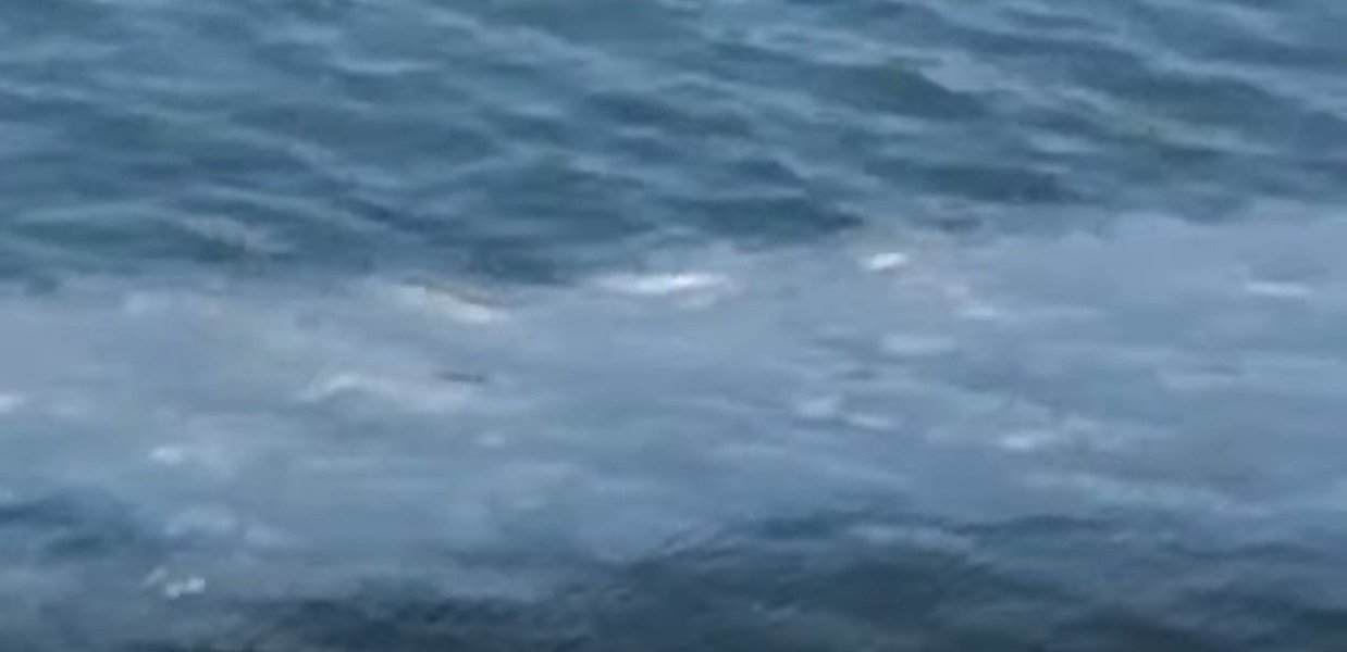 Puzza e chiazze nel mare di Bagnoli: scatta esposto per contaminazione ambientale